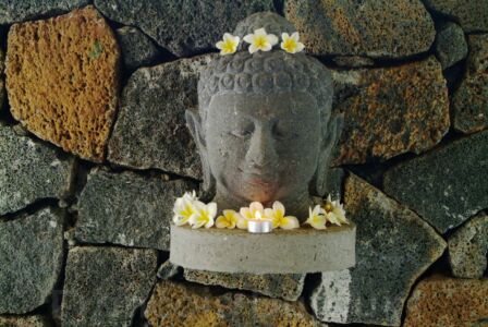 Ile Maurice : hotel Royal palm Tête de Bouddha, fleurs